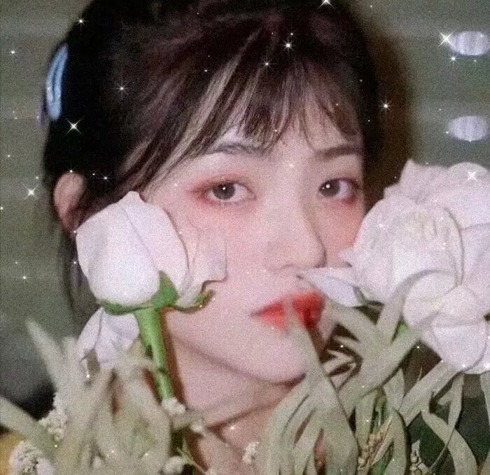 美月琪花