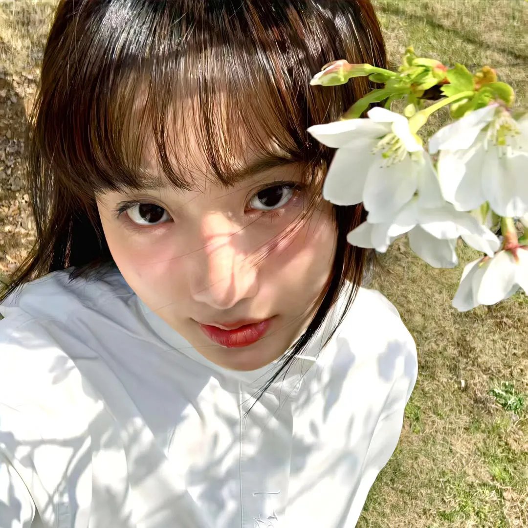 黑之契约者2:流星的双子